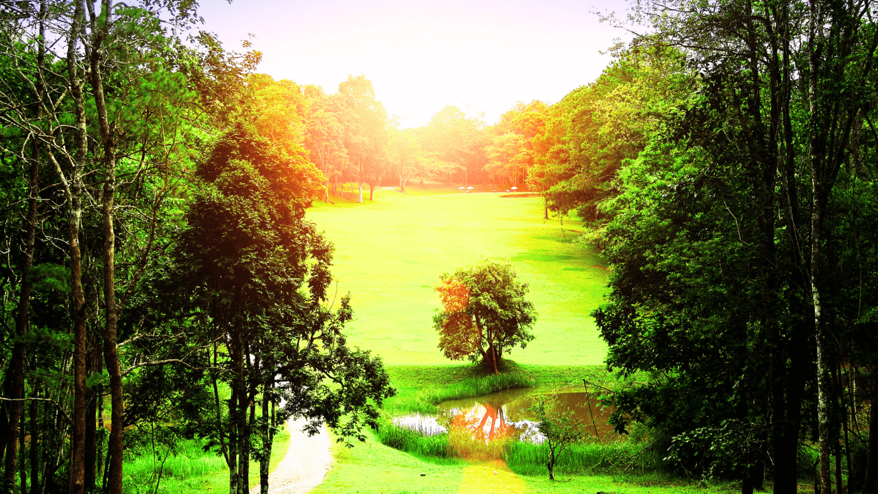 夕日とゴルフ場